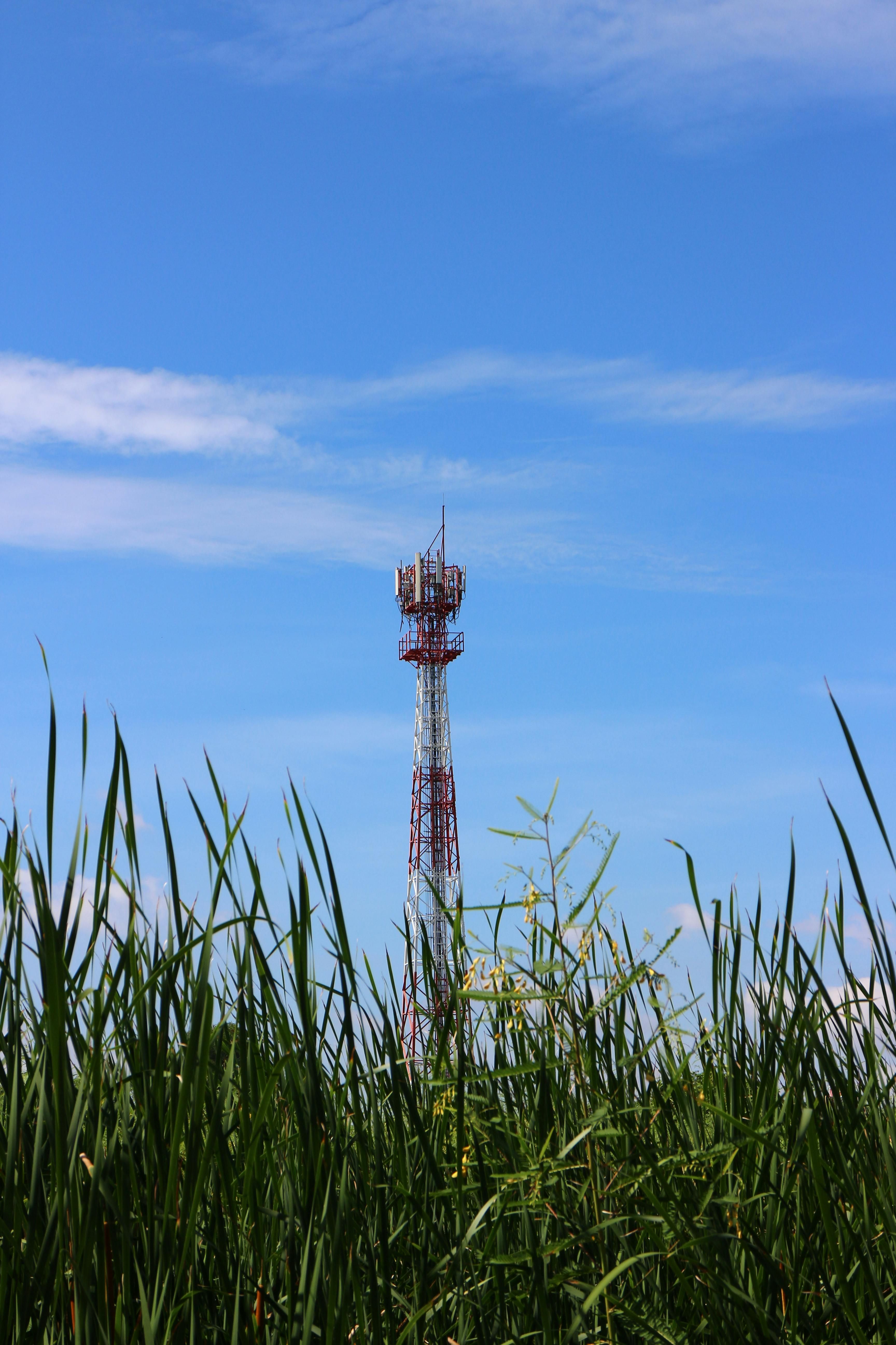 Telecommunications tower in a rural deployment